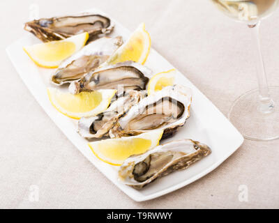 Delicious fresh oysters in shell served with lemon Stock Photo