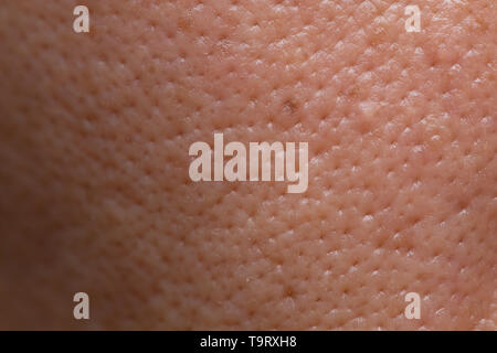 closeup male skin pores with face hire macro detail Stock Photo