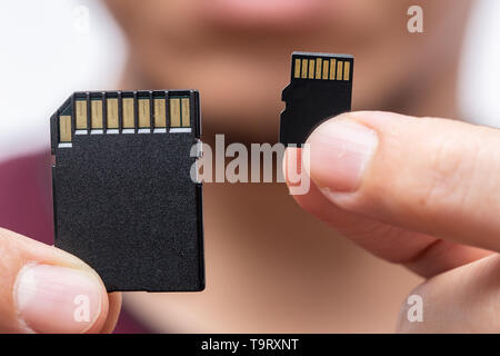 Digital Storage memory size matter concept,SD Card and Micro SD Card compare on handle Stock Photo