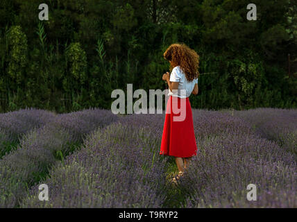 Lavender festival Turgut seferihisar izmir Stock Photo