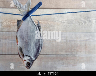 On the rope hangs a dried roach for further drying, fastened with clothespins. Presented on a wooden background. Stock Photo