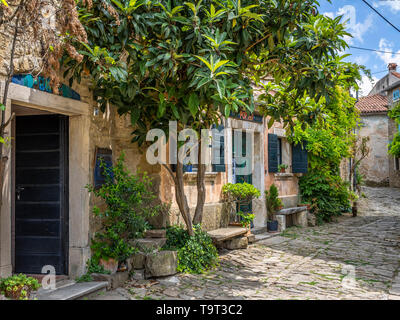 Artist's place and mountain village of Groznjan, Istrien, Croatia, Europe, Künstlerort und Bergdorf Groznjan, Kroatien, Europa Stock Photo