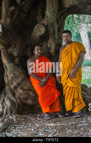 Sri Lanka trip, day 7: these monks were happy to pose for me in the grounds of the Royal Botanical Gardens in Peradeniya, near Kandy. Stock Photo