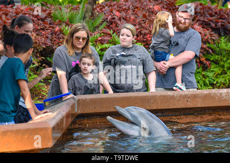 Orlando, Florida. March 09 2019.  Family enjoying Bottlenose dolphin at Seaworld in International Drive area (4) Stock Photo