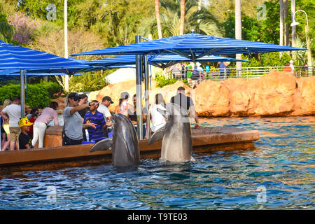 Orlando, Florida. March 09 2019. Bottlenose dolphins jumping  at Seaworld in International Drive area (2) Stock Photo