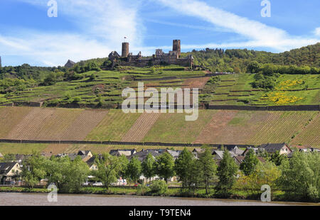 Ancient hilltop castle of Thurant above the village of Alken on the Moselle River in Germany with Riesling grape vines on the slopes Stock Photo