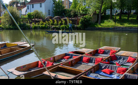 Punts drawn up on the banks of the River Cam, Cambridge