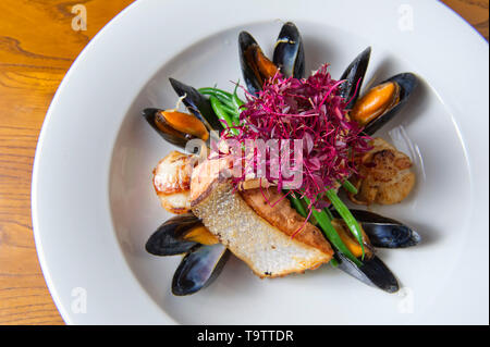 Salmon with scallops and mussels Stock Photo