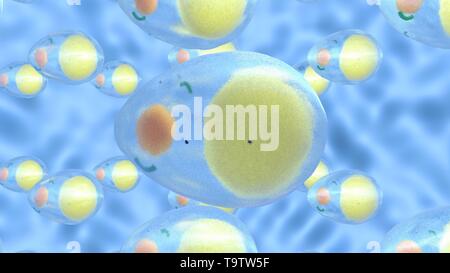 3D illustration of adipocytes. Stock Photo