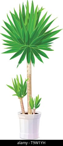 vector cartoon plants nature clip art. Potted houseplant Stock Vector