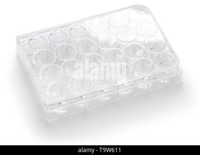 empty 24 well tissue and cell culture plate isolated on white background Stock Photo