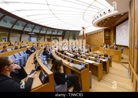 Rome, Italy. 20th May, 2019. The Hall of the Parliamentary Group Building Credit: Independent Photo Agency/Alamy Live News Stock Photo