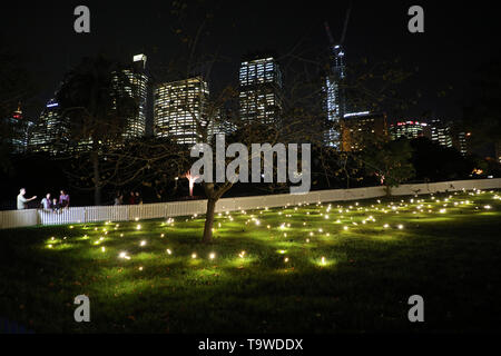 Sydney, Australia. 20th May 2019. From 24 May until 15 June the captivating grounds of the Royal Botanic Garden Sydney will be illuminated by artworks that reflect both light and nature when Vivid Sydney returns for 2019. Entering through the Queen Elizabeth II Gates, visitors can explore 15 mesmerising, playful and informative installations. Pictured: an aerial ballet of 500 tiny light points in the shimmering Firefly Field. Credit: Richard Milnes/Alamy Live News Stock Photo