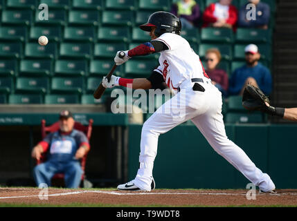 Fargo, ND, USA. 20th May, 2019. FM Redhawks Yhoxian Medina (1) bunts the ball during the FM Redhawks game against the Milwaukee Milkmen in American Association professional baseball at Newman Outdoor Field in Fargo, ND. Milwaukee won 5-3. Photo by Russell Hons/CSM/Alamy Live News Stock Photo