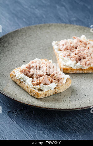 Delicious sandwich with cream cheese, tuna and fresh vegetables, cucumber and radish on a plate. Delicious vegetarian healthy food, close-up Stock Photo