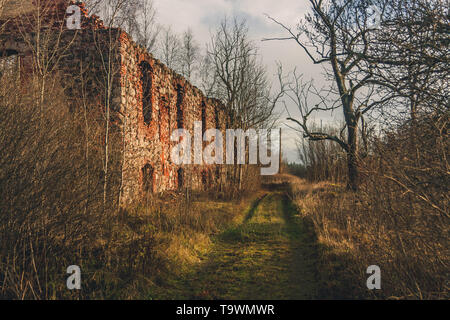 Overgrown path leading near ruins of Kaleši manor in Latvian countryside. Stock Photo