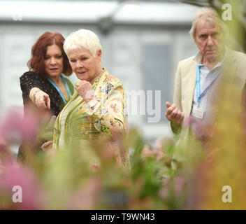 Photo Must Be Credited ©Alpha Press 079965 20/05/2019 Finty Williams Dame Judi Dench and David Mills at the RHS Chelsea Flower Show 2019 held at the Royal Hospital Chelsea in London Stock Photo