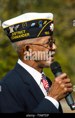 American Veterans Honored at a Veteran’s Day Ceremony Stock Photo