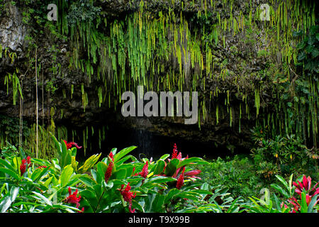 Fern Grotto, Kauai, Hawaii, USA Stock Photo