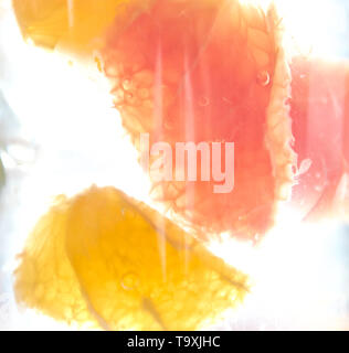 citrus detox drink. colorful tropical and citrus sliced slices in a glass of water. close-up. Stock Photo