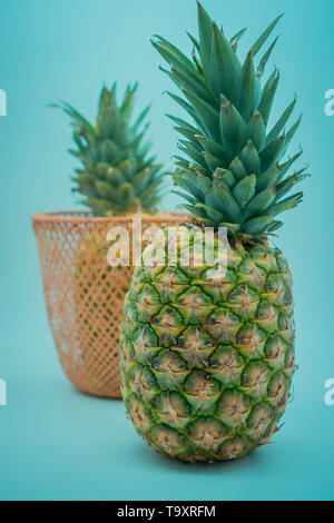 two pineapples with one in the background in a wicker basket on a blue background Stock Photo
