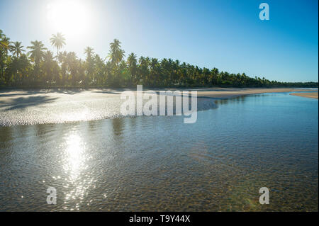 Scenic sunlit view of deserted tropical beach with palm trees casting shadows on rippling waters in Bahia, Brazil Stock Photo
