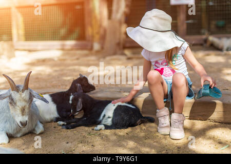 little girl feeds a goat at a childrens petting zoo Stock Photo