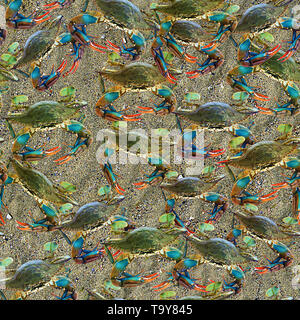 Crabs Seamless Texture Tile Stock Photo