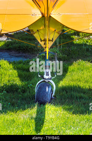Tail wheel and horizontal stabilizers, rear view, of single engine propeller airplane on sunny grass field. Stock Photo