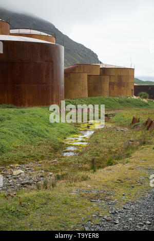 Multiple large, rusted whale oil tanks with lush grass and a small stream in the foreground. Photographed at Grytviken, South Georgia. Stock Photo