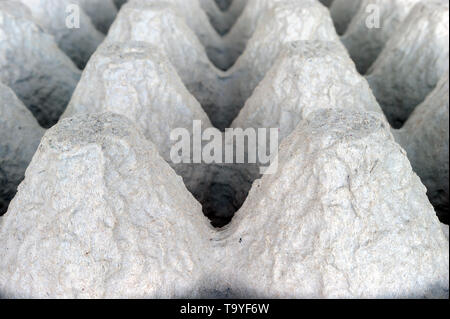 Underside of an Empty Biodegradable Molded Pulp Fiber Egg Carton Tray. Stock Photo