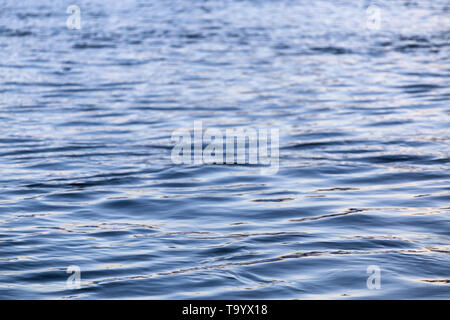 abstract water surface closeup with small plain ripples and selective focus. Stock Photo