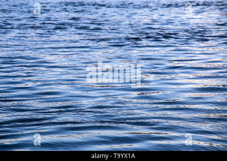 abstract water surface closeup with small plain ripples and selective focus. Stock Photo