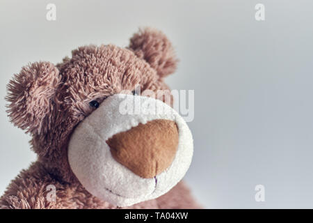 Teddy bearchildren's toy teddy bear isolated on a light background. closeup of a teddy bear's head. Stock Photo