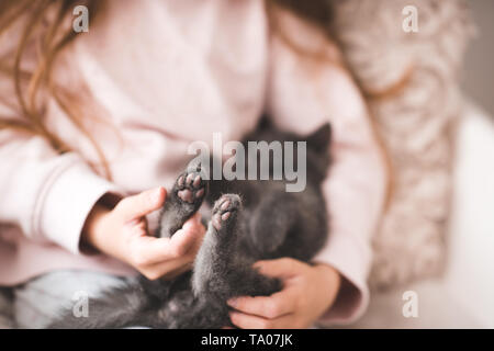 Girl holding kitten feet closeup. Stock Photo