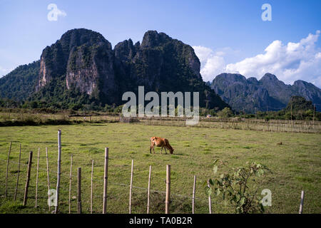 Stunning view of some cows grazing on a field with some limestone mountains illuminated by sun rays that filter through some clouds in the background. Stock Photo