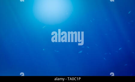 Amazing underwater image of sun and light rays shining through deep ocean water surface Stock Photo