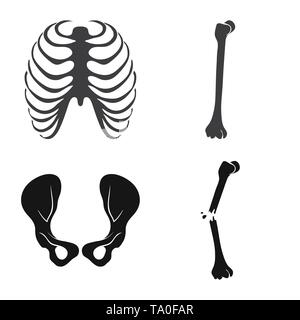 rib,hip,fracture,cage,broken,joint,pain,xray,fibula,pelvis,bias,body,shin,surgery,injury,spine,tibia,healthy,connective,sternum,femur,musculoskeletal,breastbone,leg,calcium,fiber,joints,scientific,muscle,biology,medical,bone,skeleton,anatomy,human,organs,medicine,clinic,set,vector,icon,illustration,isolated,collection,design,element,graphic,sign,black,simple Vector Vectors , Stock Vector