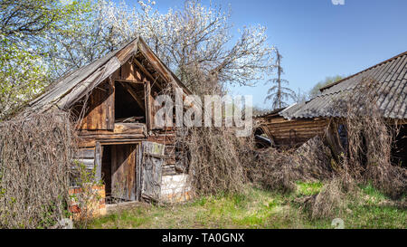 Abandoned little house in Belarus Chernobyl exclusion zone, recently opened for the public from april 2019. Stock Photo