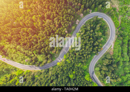 Aerial view of a forest road passing through a fir trees forest