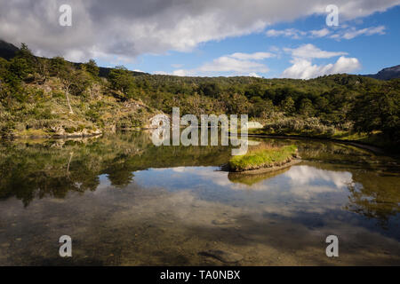 Lapataia bay in the Tierra del Fuego National Park. Ushuaia in the Patagonia Argentina Stock Photo