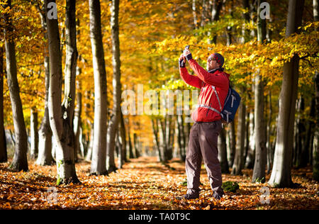 A man taking photos of the Autumn leaves, on his phone, in the New Forest Hampshire Stock Photo
