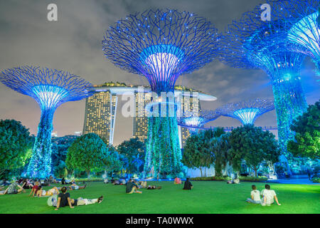 Singapore 26. January 2019 : Gardens by the Bay with the Super Trees at night, in the background the Marina by Sands hotel Stock Photo