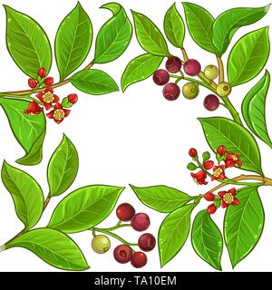 sandalwood vector frame on white background Stock Vector