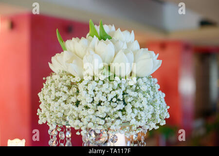 Floral arrangement, formal dining table centerpiece featuring a cluster of pure white tulips set on a thick base bouquet of Baby's-breath Stock Photo
