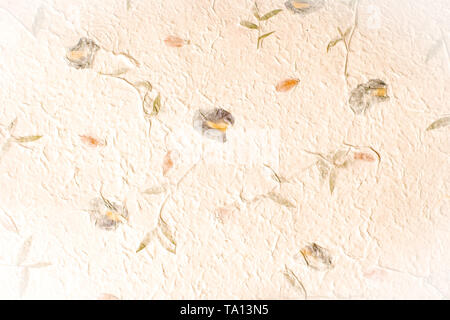 handmade paper is decorated by dry flower and dry leaf for create a card in ceremony event. Stock Photo