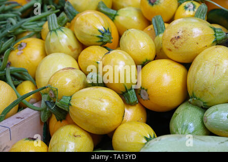 Close up fresh new yellow baby round zucchini on retail display of farmers market, high angle view Stock Photo