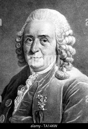 Carl von Linne (since 1762), previously Carolus Linnaeus. In his work 'Systema Naturae' published in 1735 he introduced the modern biological classification. In the 12th edition of his book 'Systema Naturae' (1766) Linne classified humans for the first time as 'homo sapiens' in the order 'primates', along with chimpanzees and orangutans. Stock Photo