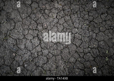 Surface of a grungy dry cracking parched earth for textural background. Stock Photo