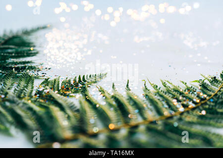 Background with fresh fern sequins and bokeh. Stock Photo